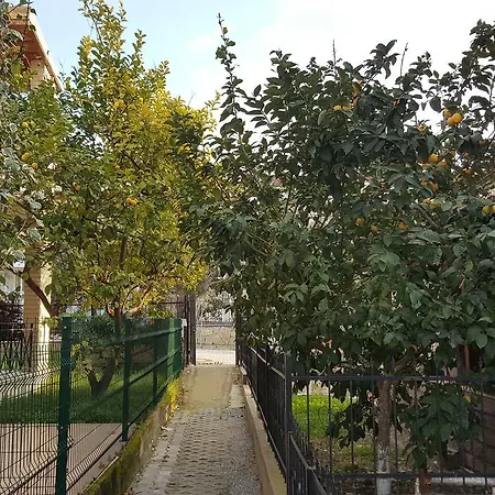 Dogus Konaklama